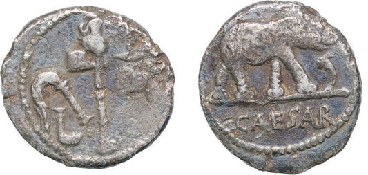 front and back of julius caesar coin with elephant and emblems of the pontificate