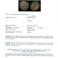 Certificate of Authenticity for ancient silver coin of Taras with a signature and text on a white background